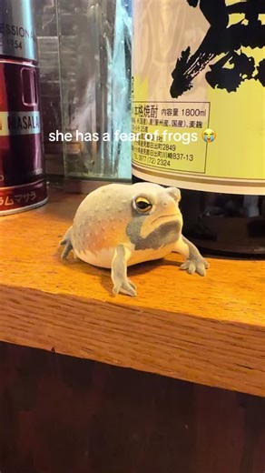 she had a hard time eating 🥹 | frog