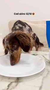 Snacking on Her Favorite Open Farm Treats