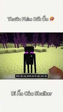 The Mystery of Shulker #shorts #minecraft