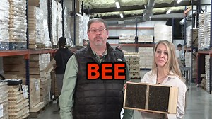 1.4K views · 212 reactions | We have the HONEY BEES and we ship bees to your area! Italian, Carniolan, Caucasian, and Russian Hybrid honey bees. For dates and prices click the link below or the "Shop Now" button below. Call us at 706-886-1322 or order online at: www.MountainSweetHoney.com/bees | Mountain Sweet Honey Co. | Facebook