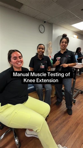 Understanding Manual Muscle Testing for Knee Extension