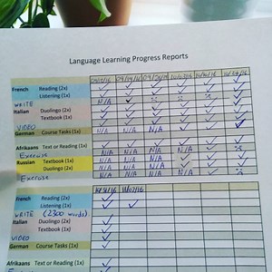 How to Study Multiple Languages (at ONCE!)