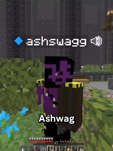 The Protector of the server #fyp #meme #unstableuniverse | funny meme