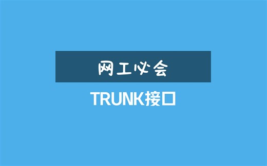十分钟搞明白，VLAN中的TRUNK接口