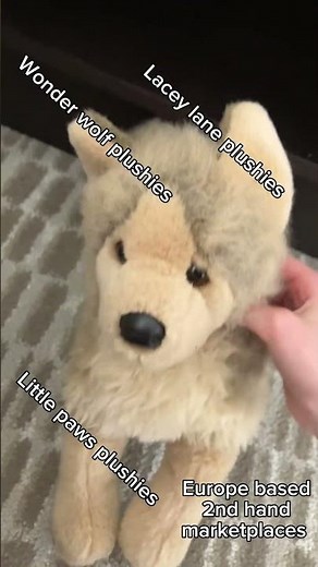 Where to buy Douglas plushies #essa #essacommunity #dssa #douglasdog #douglascuddletoys #stuffeddog