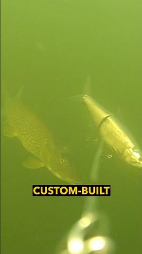 Some of the best pike attacks recorded!