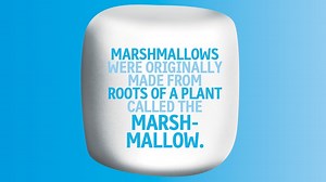 Weird But True!: Snacks