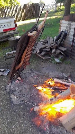 Roasting a Whole Pig in a Rustic Backyard Setting