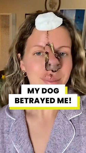 My beloved dog betrayed me | Bluntly