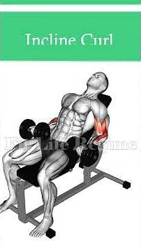 5 Best LONG HEAD BICEP EXERCISES for Building Your Peak