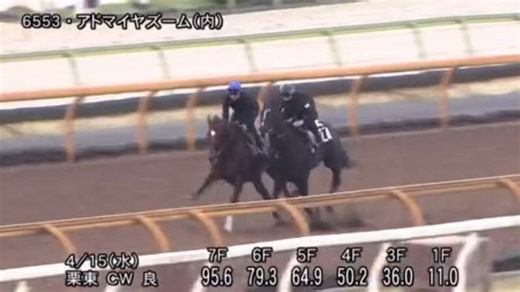 🏇マイラーズC 最終追い切りTOP3中間＋最終から“最終追い切り重視”でガチ評価🏇💨正直これ、「調教×能力が一致してる側」ここに答え寄ってる可能性が高い。先週 皐月賞🐴◎ロブチェン🥇☆リアライズシリウス🥈▲ライヒスアドラー🥉先出しワンツースリー決着🔥＝調教上位 → 本命そのまま1着今回もこの流れ続くか。保存推奨✅⸻1位🥇アドマイヤズーム終い11.0・武豊騎手騎乗で自己ベスト・僚馬に4馬身半先着→完成度は最上位→軸として最も信頼⸻2位🥈ランスオブカオス終い11.3・6F80.4→1F11.3（自己ベスト）・馬なりでスムーズに加速→終いのキレはトップクラス→人気とのズレある狙い目の穴⸻3位🥉ウォーターリヒト終い11.3・余力残しつつ安定ラップ・1週前にしっかり負荷→仕上がり高水準→崩れにくい安定タイプ⸻次点⭐️シックスペンス終い11.4→状態良好で軽視禁物⸻最終結論は✔️枠順✔️厩舎コメント✔️ファクター◎✔️ゾーン全て含めて出します。2026年G1本命◎先出しパーフェクト継続中🎯⸻👉気づいた人から勝ってる。今週も取りにいく人は❤️（いいね優先で出します）🔥#マ