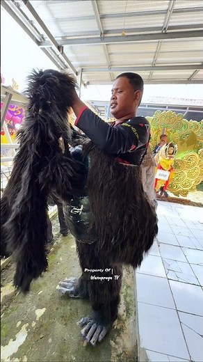 How to Wear a King Kong Costume #gorilla #monkey #monkey