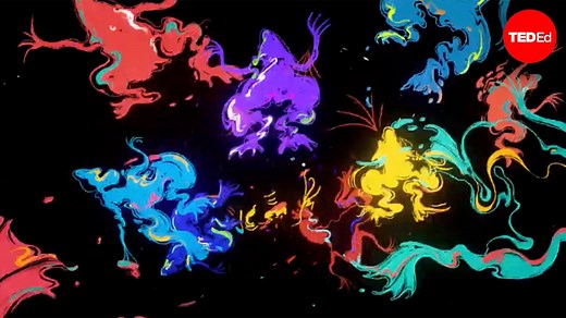 Why were scientists so obsessed with these frogs?