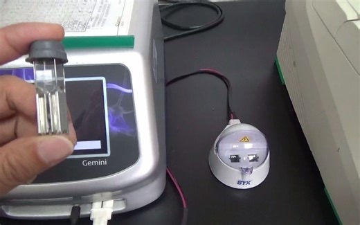 细菌电转化基本操作（BTX GEMIN电转仪)