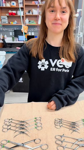 9.4K views · 93 reactions | Planning a fall hike with your dog? ️ Before you hit the trail, know the hidden dangers - from venomous bites to toxic plants. ❌  Stay safe out there, and remember — VEG is open 24/7 if an emergency strikes. 喙 Read more on our blog, link in the first comment below! | VEG ER for Pets | Facebook