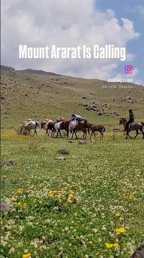 Mount Ararat is Calling !