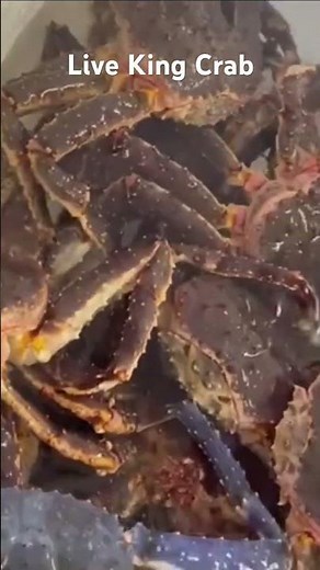 Rare Blue King Crab — Live Catch from the Barents Sea