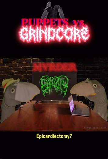 Puppets vs. Grindcore. 🎵💀🎵 Watch the full, uncensored episodes on our Youtube channel (link in bio). Caw! #crazy #funnyvideos #crows #podcast #puppets