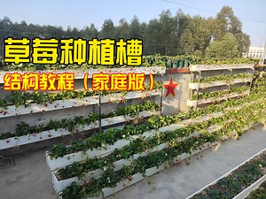 草莓种植槽结构教程★家庭种植版