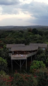 Unique treehouse experience in Kenya with a view