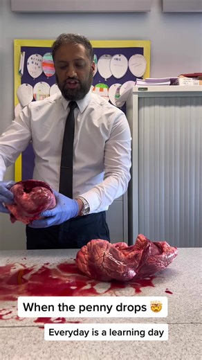 Teacher's Heart Dissection: Science and Biology Learning