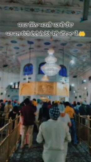 shukrana malka ♥️