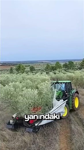Ağaçları Saniyeler İçinde Boşaltan Tarım Makinesi! 😳🌳