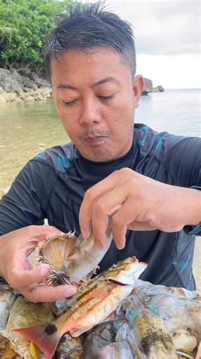 Romel P Pigon | Squid 🦑 and sea urchin the best #viral#reels #followers#lighlight @highlight@followers #Romel P Pigon | Instagram