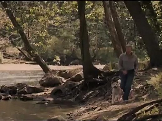 Hachi: A Dog's Tale - Trailer