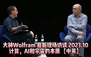 大神Stephen Wolfram最新现场访谈：计算，AI和宇宙本质【中英】