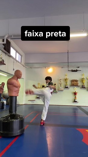 Técnicas Básicas de Karatê Shotokan para Todas as Faixas
