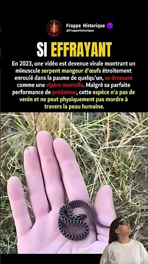 Le serpent terrifiant qui ne peut pas vous faire de mal