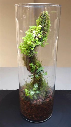 I love how this thrifted vase terrarium turned out, especially the faux vine feature. The vine is made from wire, wicking cord, and live moss, and it stays moist by pulling water up from the substrate. This helps the moss and small plants grow beautifully along the vine. | The Peace of Nature Project