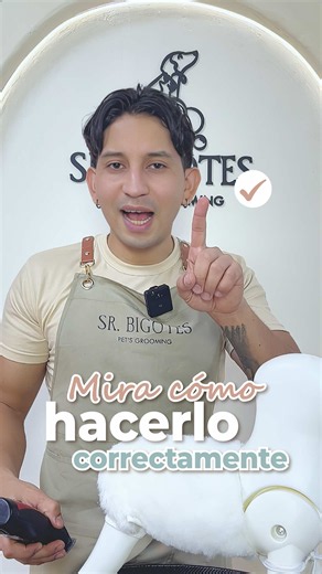 Grooming Profesional: No es solo cortar, es manipular y cuidar
