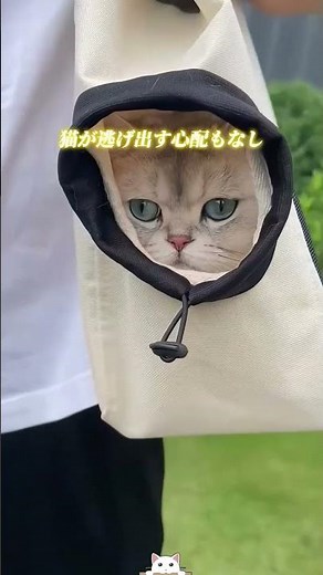 ペットとのお出かけに必須のリュック！#猫用キャリーバッグ #ペット用リュック #猫の外出用携帯バッグおすすめ #猫飼い必須アイテム #猫とのお出かけ