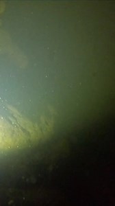 Lubuk sungai yang ada labi-labi, banyak ikannya | Cariikan