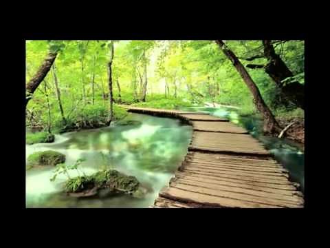 K D Lang - Helpless Lyrics