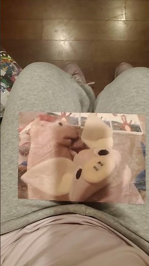 Baby Einstein On The Go Riding Sailing and Soaring 2005 Full Movie