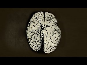 A Scientist Spilled 2 Drops Organic Mercury On Her Hand. This Is What Happened To Her Brain.