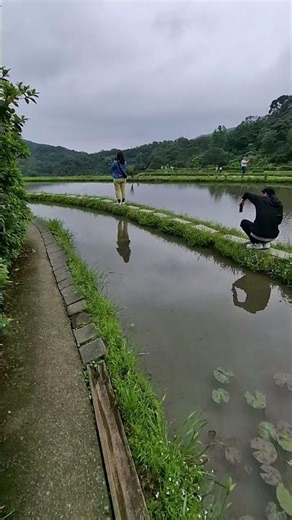 嵩山百年梯田（四） 全台唯一的百年石砌梯田#景點#景點推薦 #戶外#郊外#假日好去處#旅遊