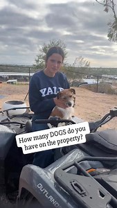 Are we dog friendly!! You bet! 😅 27 dogs 🐾 staying on the property at Hidden Hacienda this week! Between the people who are here all season and guests here for a week or so we took a minute to count. Everyone is getting along and it just adds to the circus that is our current life running an RV park, horse boarding and rodeo operation. Still slightly questioning how we got ourselves into this one but we are rolling with it! @m5hiddenhacienda #m5hiddenhacienda | Five Marys