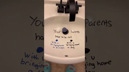 See what pet chaos awaits from our Balls of Fate game