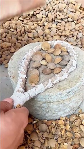 Clever shelling process of hard almond using creative tools