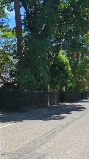 20250801 秋田県仙北市角館町表町下丁 角館武家屋敷⑰August 1, 2025Kakunodate Samurai Residences (Part 17), 🇯🇵🏯