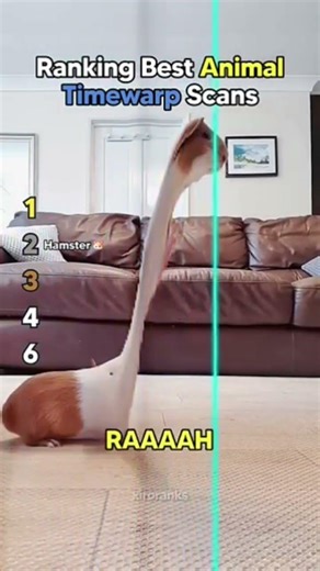 more slop meme shortz 3