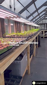 Discover the Active Grow T5 2.0 LED Grow Light – the gardener's secret to vibrant and bountiful vegetable yields. Bring the brilliance of natural sunlight right to your indoor garden. Why is the Active Grow T5 2.0 LED Grow Light a must-have for vegetable gardeners? ✅ Sun White Spectrum: Mimic the sun's rays for healthier, tastier vegetables. ✅ Energy Efficiency: Save on power while giving your plants the light they crave. ✅ Durability: Reliable water-resistant switches and a robust PC body. ✅ Da