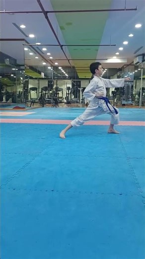 كاتا هيان شودان( سيف محمود )#mma