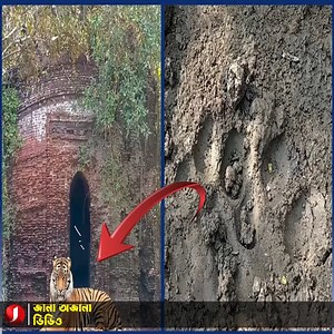 150K views · 6.1K reactions | ‘বাঘের বাড়ি’সহ সুন্দরবনে চালু হচ্ছে নতুন চারটি পর্যটনকেন্দ্র | Jana Ojana Video | Facebook