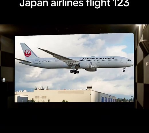 Japan Airlines Flight 123: Real Footage and Tragic Story