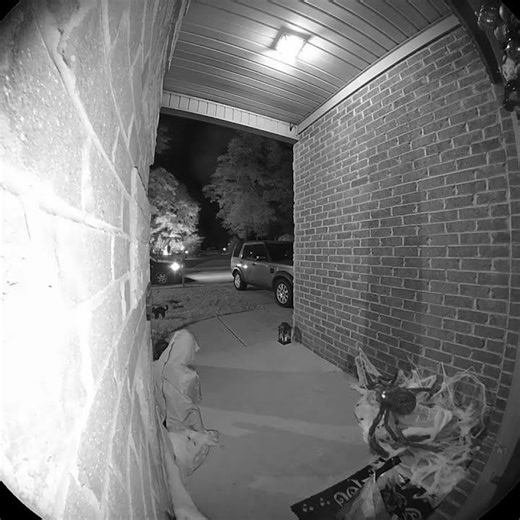 Delivery Driver Reacts to Spooky Halloween Decor